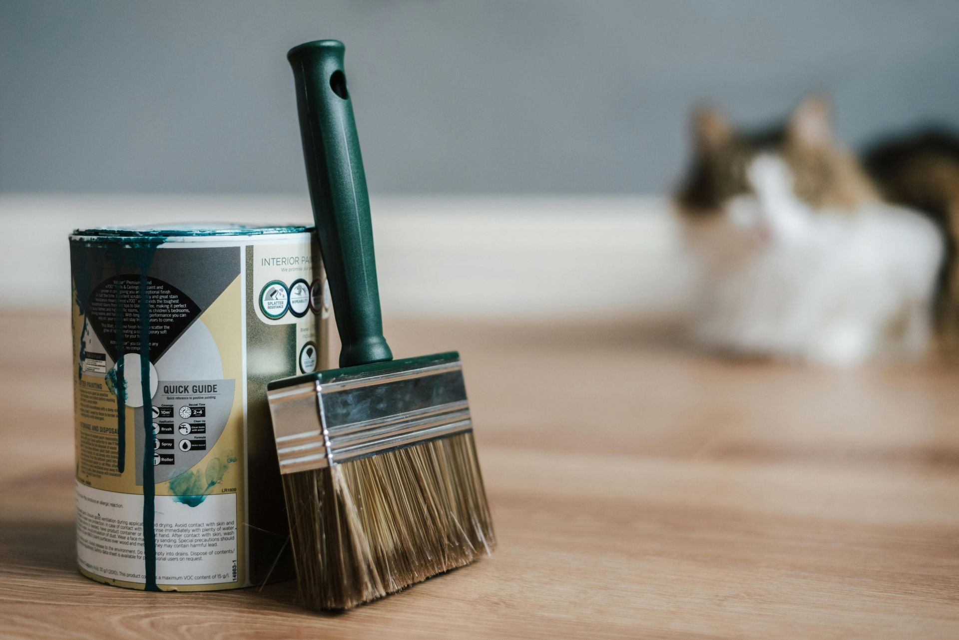 Close-up of paint can and brush on floor with blurred cat in background.
